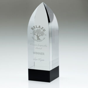 CLEAR/BLACK POINTED COLUMN (60mm THICK) - 9.5in