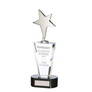Chicago Crystal & Chrome Award 250mm