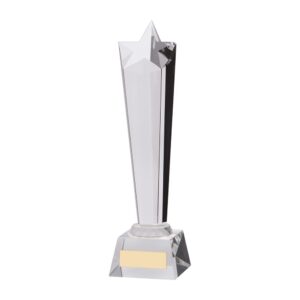 Seattle Star Crystal Award 250mm