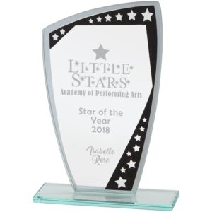 Cosmic Mirror Glass Award Black & Silver 210mm