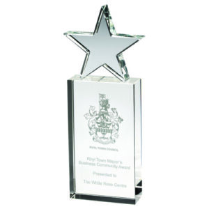CLEAR GLASS BLOCK WITH GLASS STAR - 10in