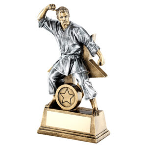 BRZ/GOLD/PEW MALE MARTIAL ARTS FIGURE WITH STAR BACKING AND PLATE (1in CEN) - 6"