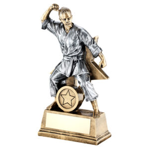 BRZ/GOLD/PEW FEMALE MARTIAL ARTS FIGURE WITH STAR BACK AND PLATE (1in CEN) - 7"
