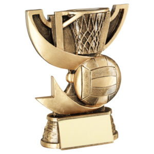 BRZ/GOLD CUP RANGE FOR NETBALL WITH PLATE -   4.25in