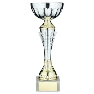 SILV/GOLD  SPIRO TROPHY CUP WITH PLATE - 9.5in