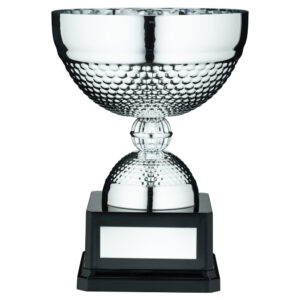 SILVER DIMPLE BOWL TROPHY WITH PLATE - 8.75in