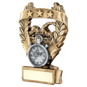 BRZ/PEW/GOLD SWIMMING 3 STAR WREATH AWARD WITH PLATE - 6.25in