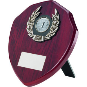 ROSEWOOD SHIELD AND SILVER TRIM ASSEMBLED TROPHY (1in CENTRE) - 6in