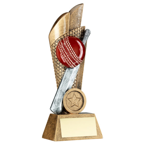 BRZ/PEW/GOLD CRICKET BALL AND BAT ON MESH BACKDROP WITH PLATE (1in CEN) - 7.25in