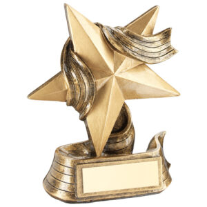 BRZ/GOLD STAR AND RIBBON AWARD WITH PLATE -       4.75in