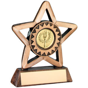 BRZ/GOLD RESIN GENERIC MINI STAR WITH PLATE     (1in CENTRE) - 3.75in