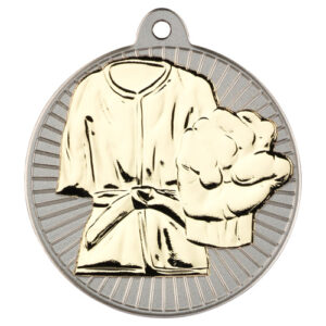 MARTIAL ARTS TWO COLOUR MEDAL MATT SILVER/GOLD - 2in