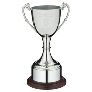 NICKEL PLATED CUP ON ROUND PLINTH WITH BAND - 8.25in