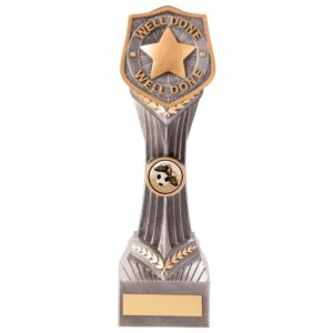 Falcon Achievement Well Done Award 240mm