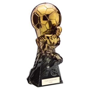Trailblazer Football Heavyweight Male Gold 230mm