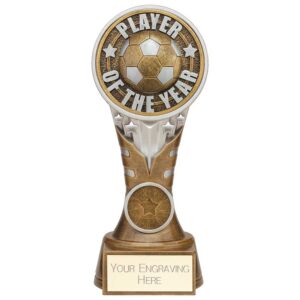 Ikon Tower Player of the Year Award Antique Silver & Gold 175mm