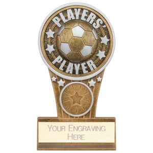 Ikon Tower Players Player Award Antique Silver & Gold 125mm