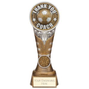 Ikon Tower Thank you Coach Award Antique Silver & Gold 200mm