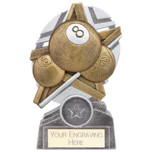 The Stars Pool Plaque Award Silver & Gold 130mm