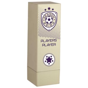 Prodigy Tower Players Player Award Gold 160mm