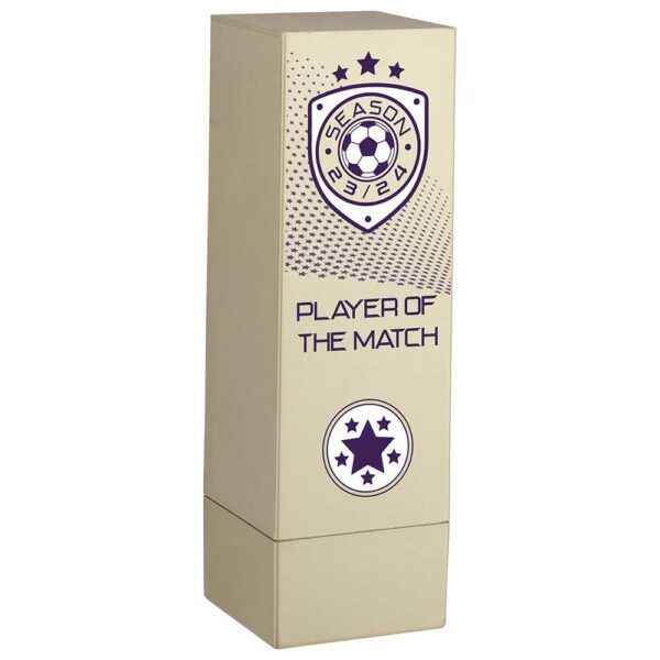 Prodigy Tower Player Of The Match Award Gold 160mm