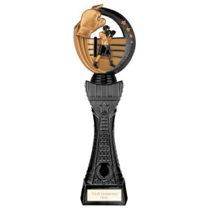 Renegade Heavyweight Boxing Award Black 310mm