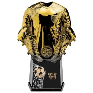 Invincible Shirt Players Player Gold 220mm