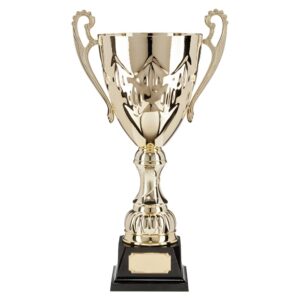 Legacy Super Cup Gold 325mm