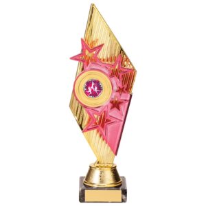Pizzazz Plastic Trophy Gold & Pink 270mm
