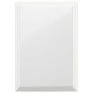 Reward Plaque Arctic White 100mm