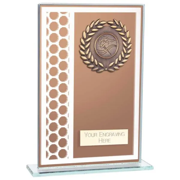 Titanium Multisport Glass Award Bronze 180mm