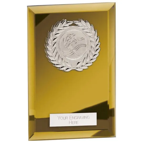 Mirage Multisport Mirror Plaque Gold 150mm