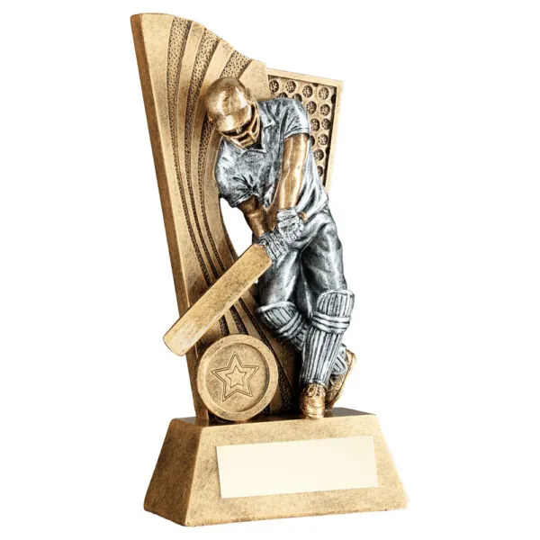 BRZ/PEW MALE CRICKET BATSMAN ON BACKDROP WITH PLATE (1in CENTRE) - 9.25in