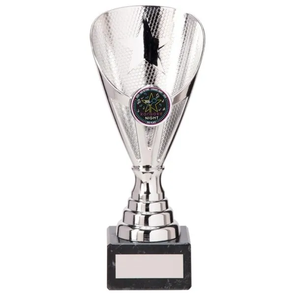 Rising Stars Premium Plastic Trophy Silver 185mm