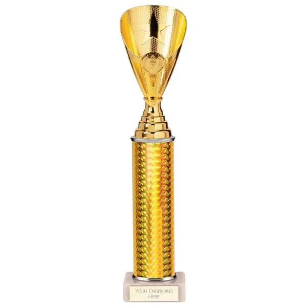 Rising Stars Plastic Trophy Gold 330mm