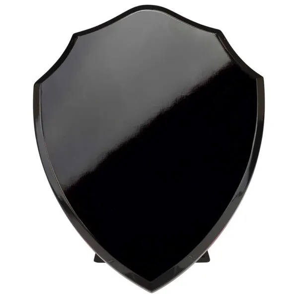 Reward Shield Epic Black 125mm