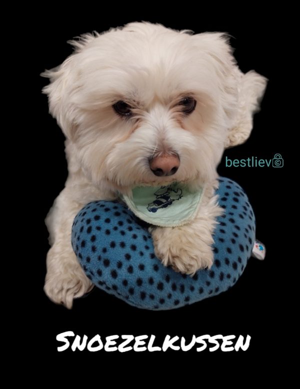 Snoezel honden en katten kussen - Afbeelding 2