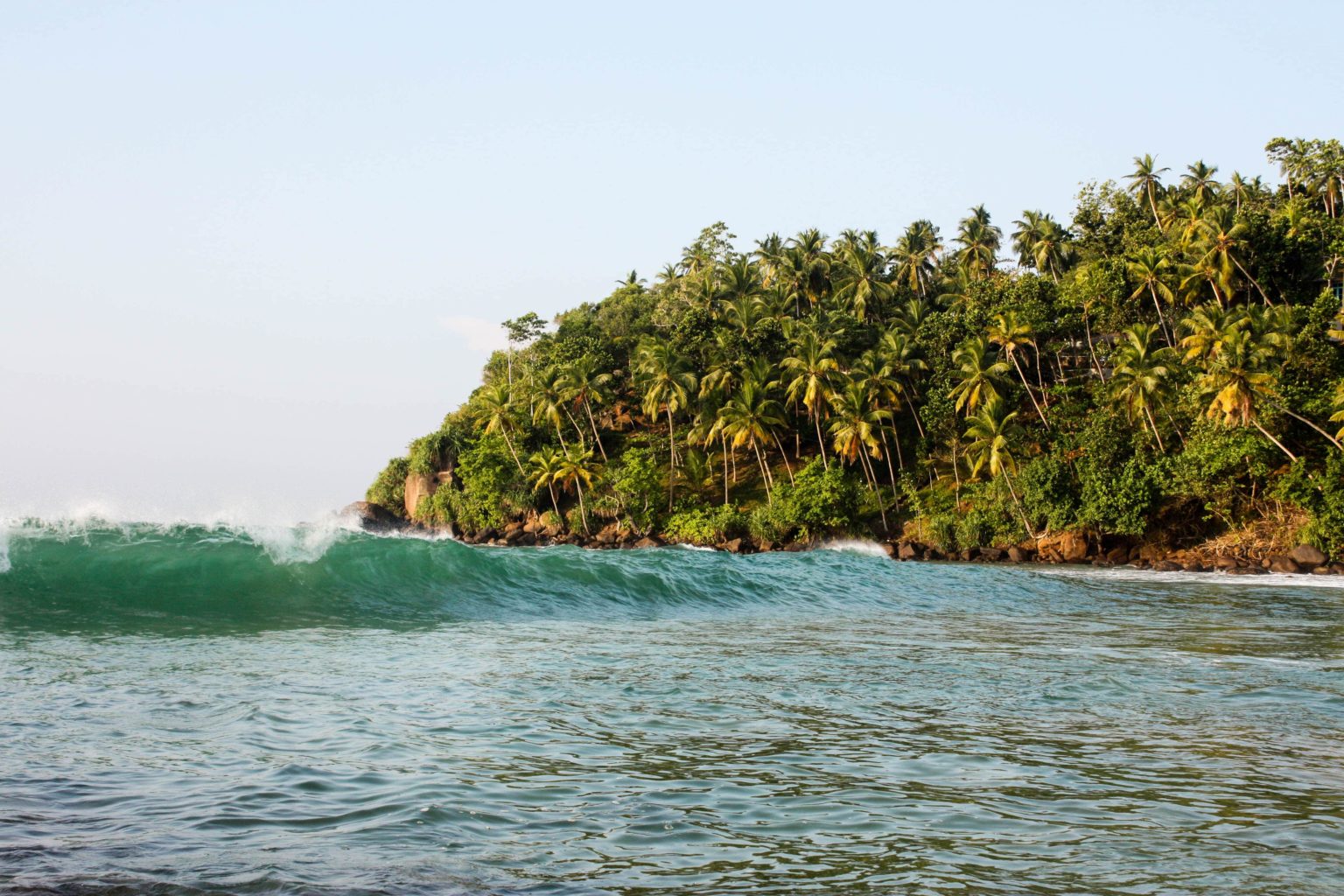 A Guide to Surfing Mirissa in Sri Lanka Best Surf Destinations