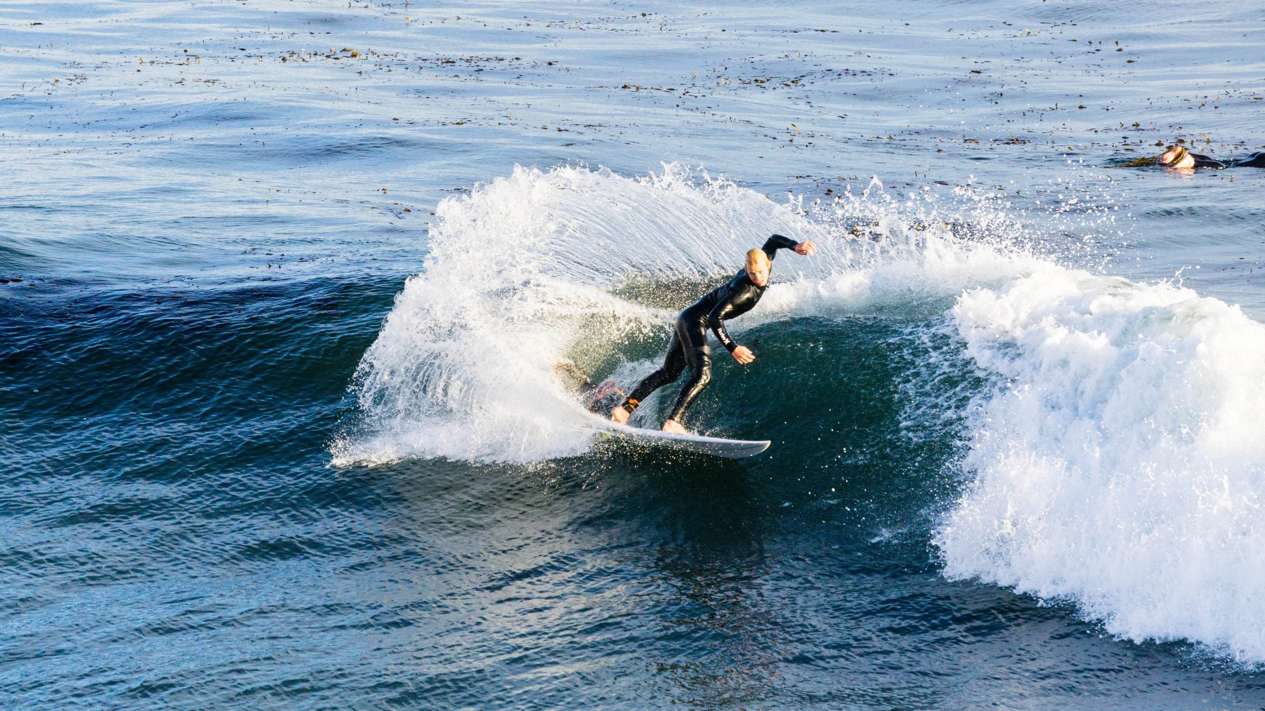 A Complete Guide to Surfing Santa Cruz in California Best Surf