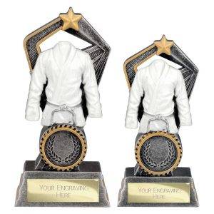 Abyss Martial Arts Resin Award