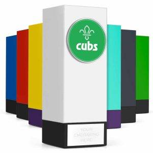 Geo Block Showcase Scouts Cubs Award 17cm (6 3/4")