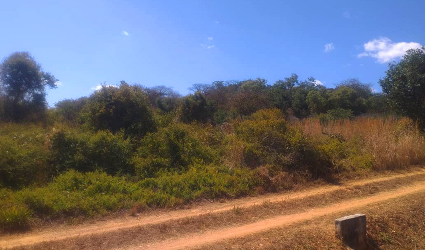 2 hectares bare land in Lilayi bare land Buy land in Zambia