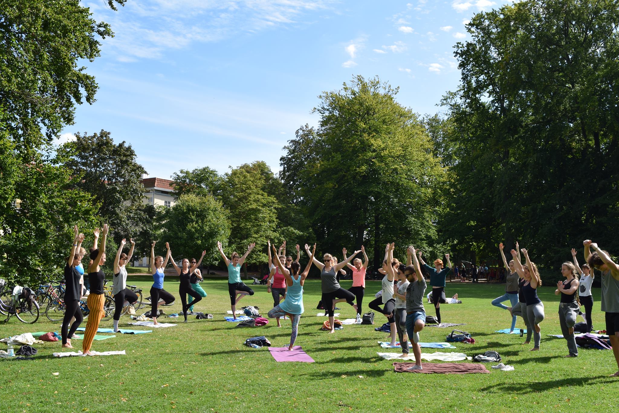 Summer Yoga in the Park