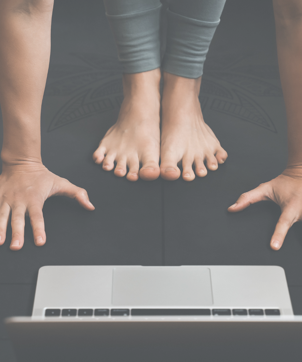 a woman standing on a yoga mat with a computer screen in front of her. her hands and feet are on the yoga mat for a forward fold yoga pose. she is watching a pregnancy yoga program on her computer to practice from home.