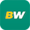 Betwinner favicon