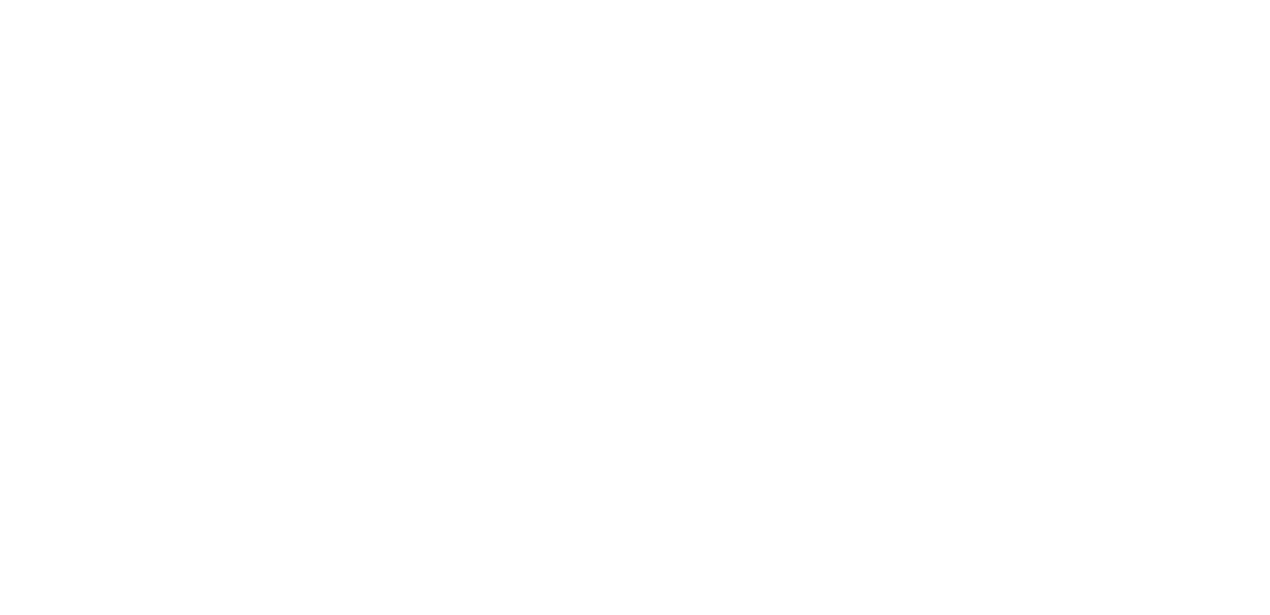 Stichting Bewaerschole