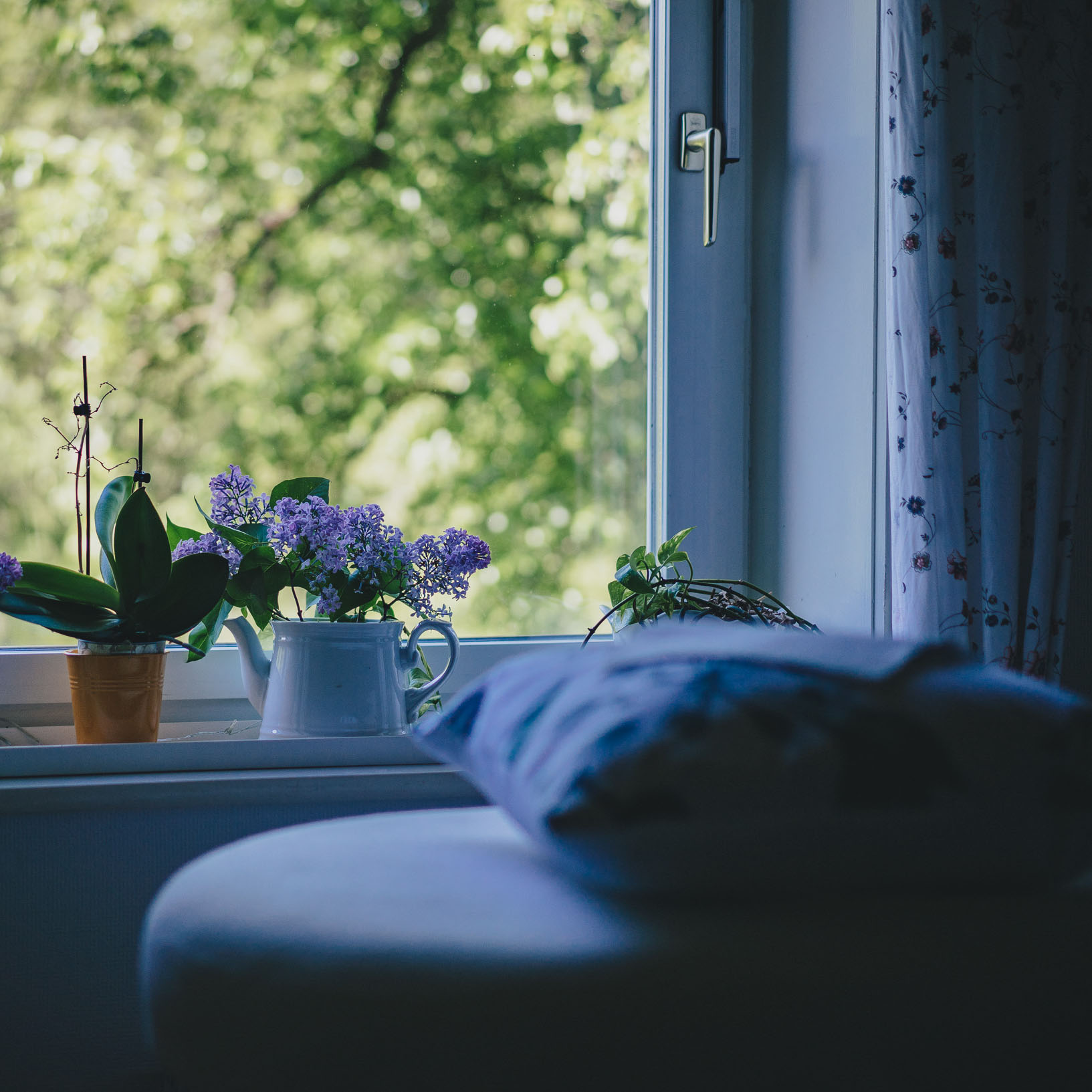 Reiki in Hamburg Finkenwerder auf dem Obsthof