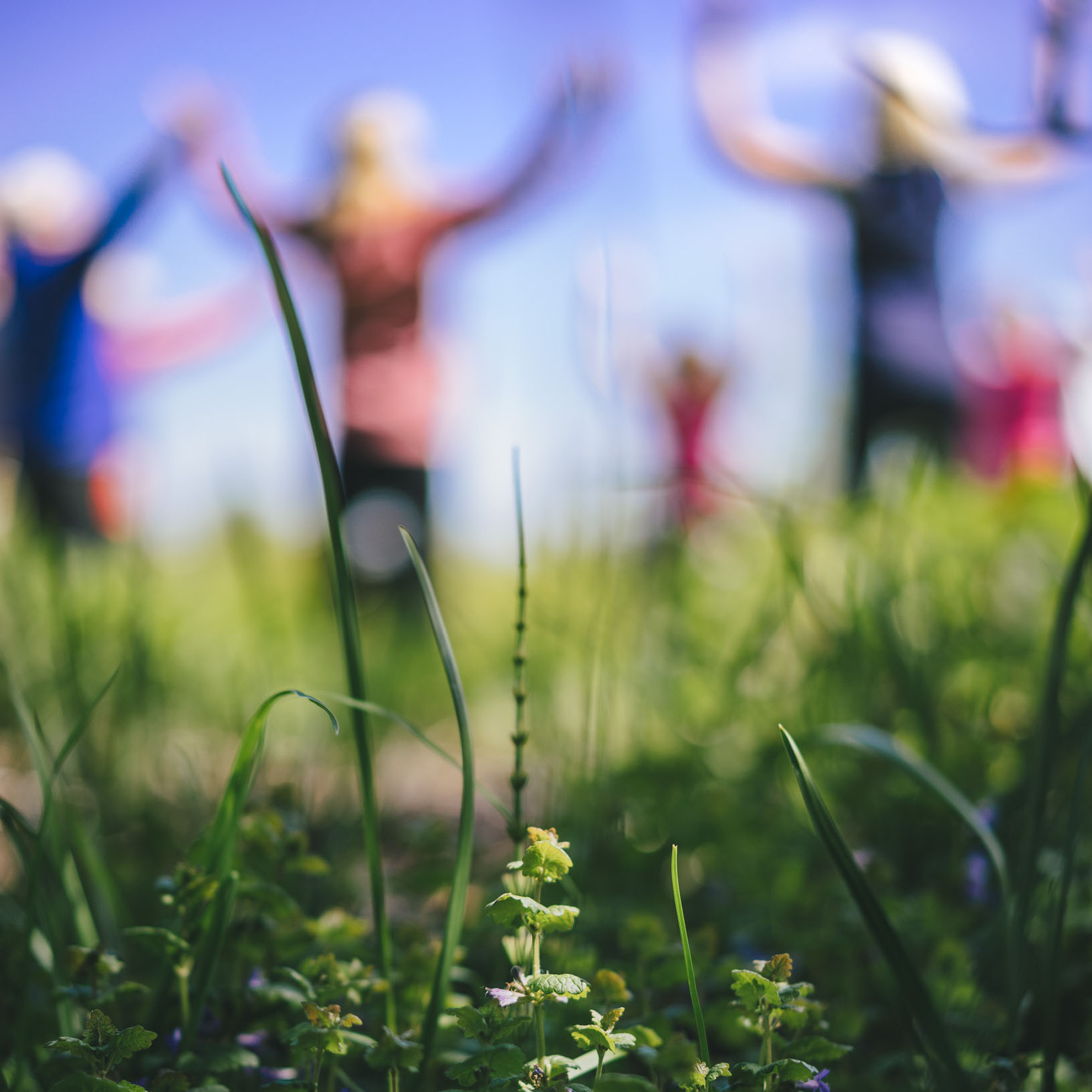 Qigong in Hamburg Finkenwerder auf dem Obsthof