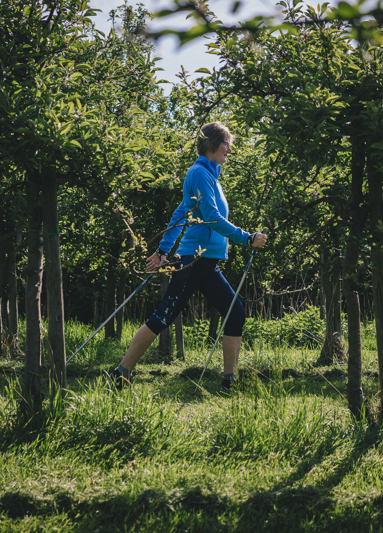 Nordic Walking Hamburg Finkenwerder auf dem Obsthof