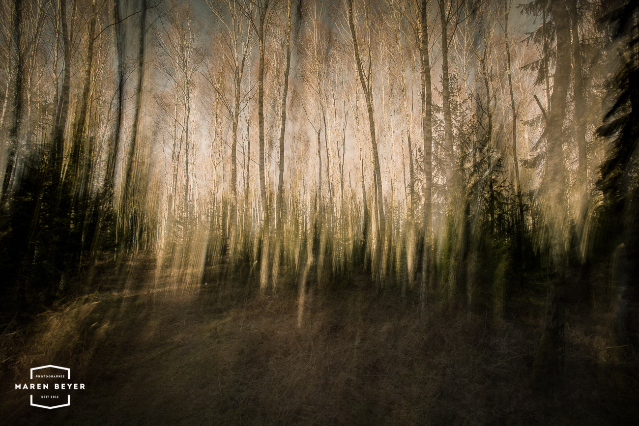 Wald-
